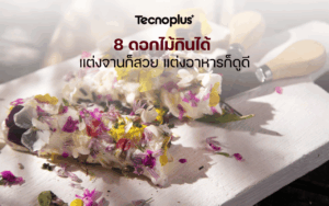 8 ดอกไม้กินได้ แต่งจานก็สวย แต่งอาหารก็ดูดี