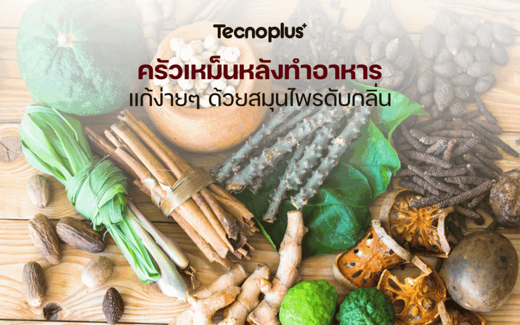 ครัวเหม็นหลังทำอาหาร แก้ง่าย ๆ ด้วยสมุนไพรดับกลิ่น