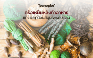 ครัวเหม็นหลังทำอาหาร แก้ง่าย ๆ ด้วยสมุนไพรดับกลิ่น