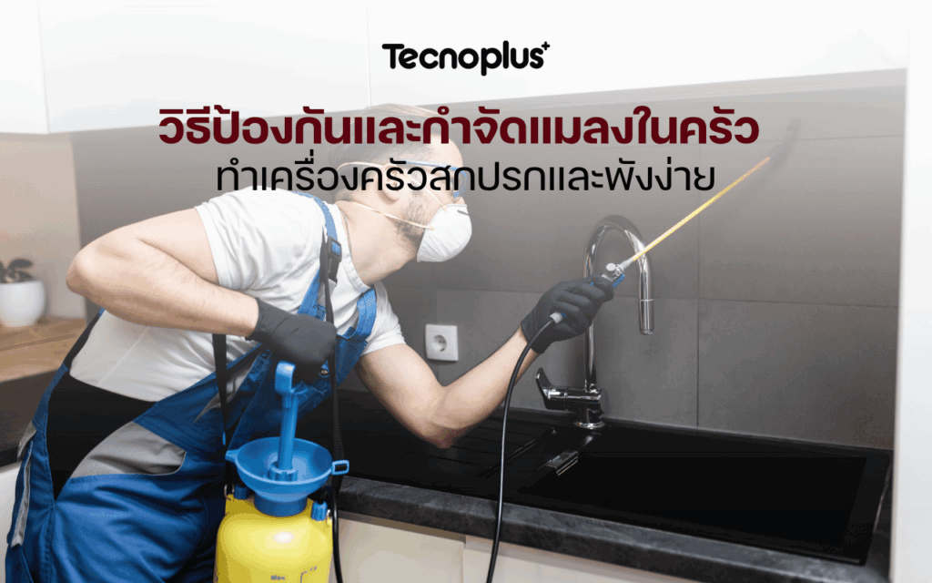 วิธีป้องกันและกำจัดแมลงในครัว ทำเครื่องครัวสกปรกและพังง่าย