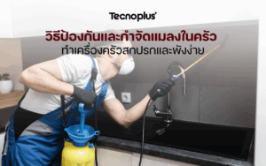 วิธีป้องกันและกำจัดแมลงในครัว ทำเครื่องครัวสกปรกและพังง่าย