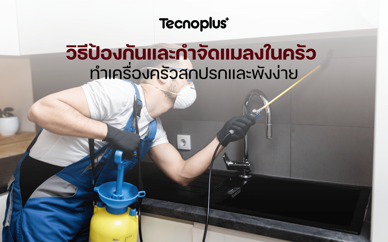 วิธีป้องกันและกำจัดแมลงในครัว ทำเครื่องครัวสกปรกและพังง่าย