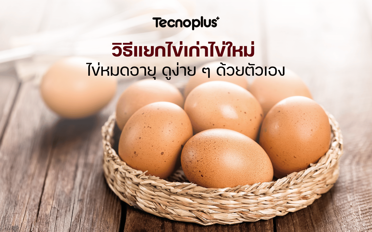 วิธีแยกไข่เก่าไข่ใหม่ ไข่หมดอายุ ดูง่าย ๆ ด้วยตัวเอง