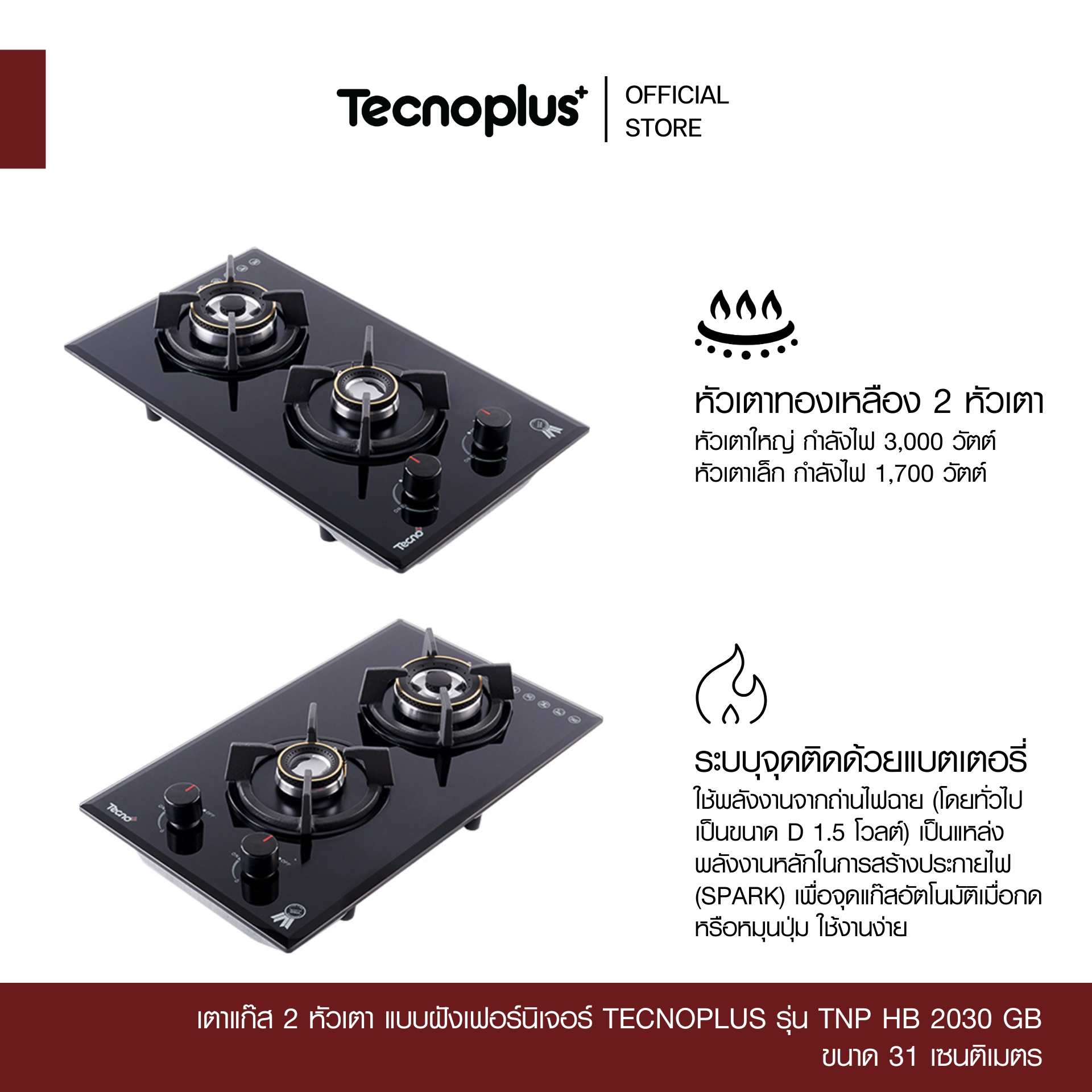 TNP HB 2030 GB-2