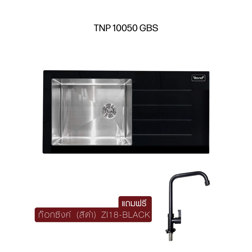 TNP 10050 GBS