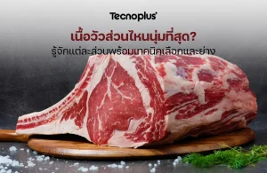 เนื้อวัว