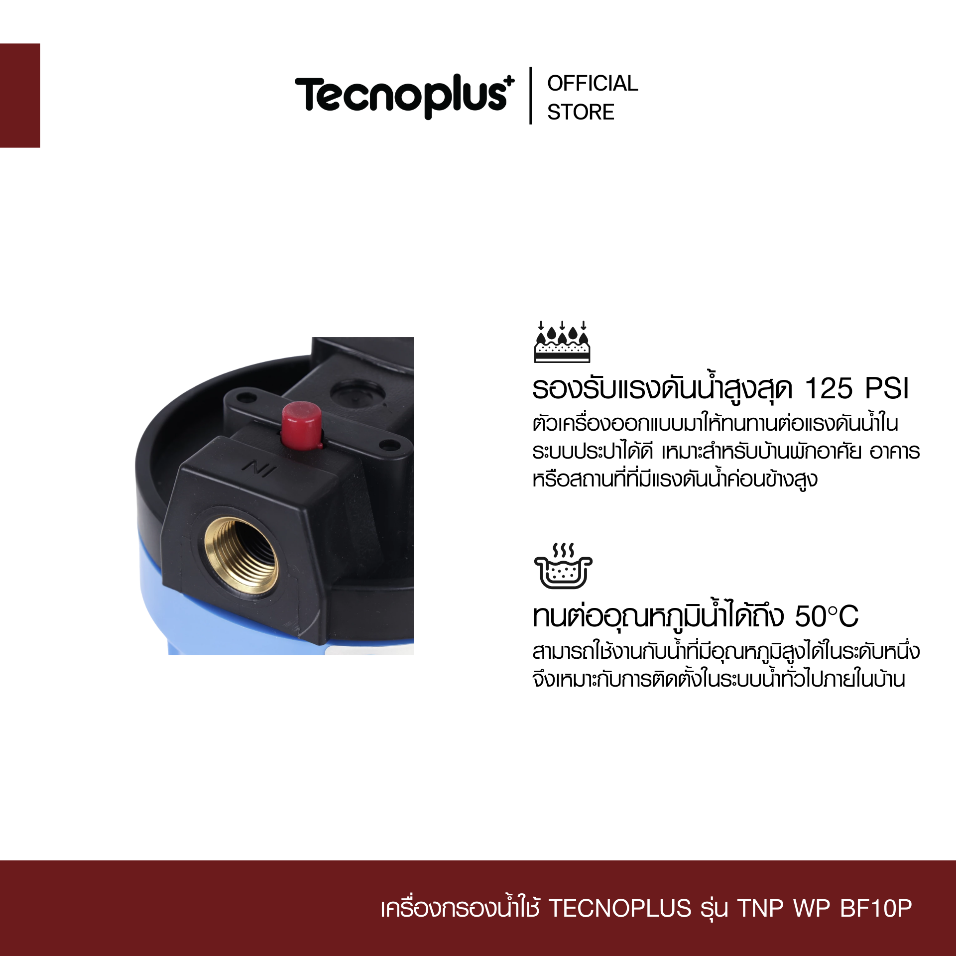 TNP WP BF10P -2