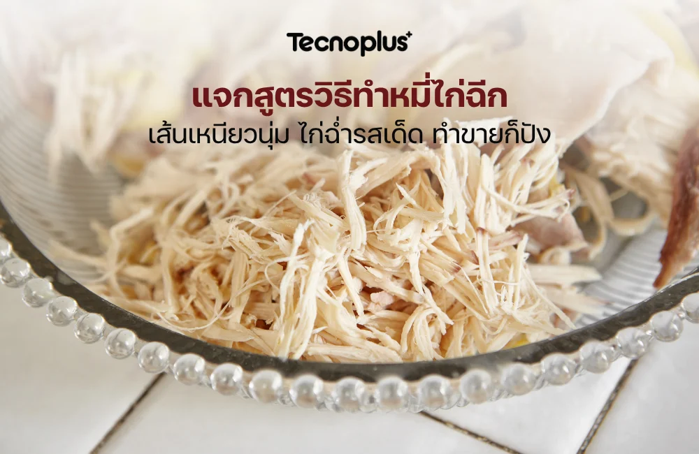 หมี่ไก่ฉีก