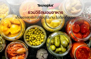 วิธีถนอมอาหาร