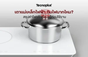 เตาแม่เหล็กไฟฟ้า