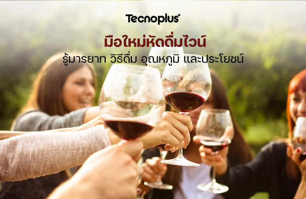 ดื่มไวน์